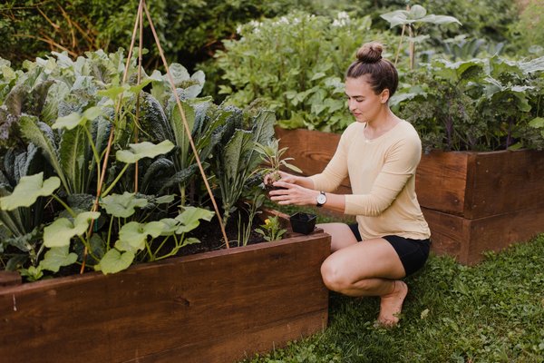 Les meilleures plantes pour un jardin florissant et coloré